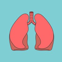 Pulmonary Fibrosis Support Group Huddersfield (@group_pulmonary) 's Twitter Profile