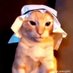 Ronnie J (@halal_boi_mes) Twitter profile photo Ronnie J (@halal_boi_mes) Twitter profile photo