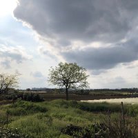 ひろのすけ (@2331hiro) 's Twitter Profile