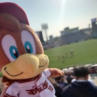 たくや (@takuya_eagles) 's Twitter Profile