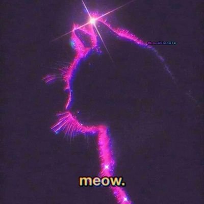 amouchedouche's profile picture. not yours