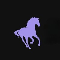 RODS RACING (@rodsracing1) 's Twitter Profile