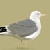 LouthBirdNews (@louthbirdnews) Twitter profile photo LouthBirdNews (@louthbirdnews) Twitter profile photo