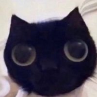 Catwheezie's Stash (@realcattohours) 's Twitter Profile Photo Catwheezie's Stash (@realcattohours) 's Twitter Profile Photo