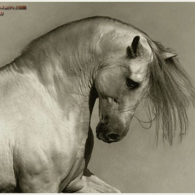 jMxYuP2qIau4bg7's profile picture. 