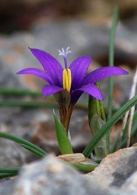 CanPrez1's profile picture. Alegre, divertido, entusiasta, optimista, buen compañero y trabajador