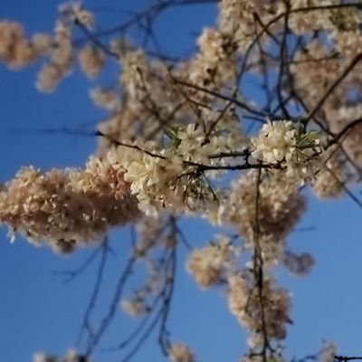 opasdvas__'s profile picture. 