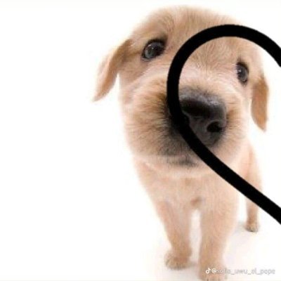 ae_xy1627's profile picture. 🐶✌️