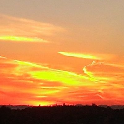 AlsAshes1's profile picture. the sometimes more polite backup alt, in case he gets a case of terminal thumbfuckery. 

starting over and over and over and over...

it/it