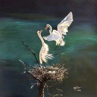 I am Islam (@aslamyd506) 's Twitter Profile