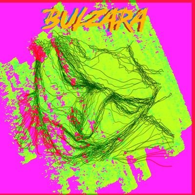 Meet Bulzara, the most electrifying indie musician to come out of the most boring seaside town in North East of Yorkshire.