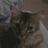 jvaudour's profile image