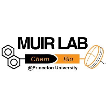 The Muir lab investigates the physiochemical basis of protein function in complex systems of biomedical interest.