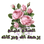 mohamed abd elghane (@13toot) Twitter