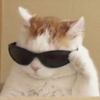 Leona (@1eoxu) 's Twitter Profile
