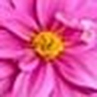 Arun Batchu (@arunbatchu) 's Twitter Profile