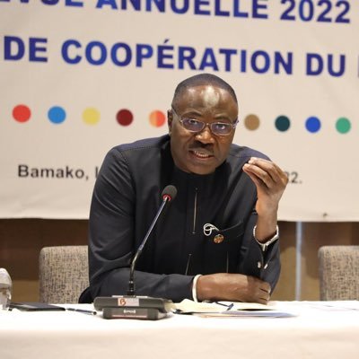 UNDP Resident Representative Mali. Previously UNDP Congo Brazza + Burkina+Mali+Global Manager UNDP Public-Priv. Pship. Tweets own views & RTs not endorsements.