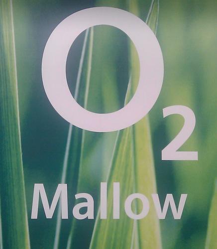 We opened in August 2010 and have proudly served Mallow and its surrounding ever since. We offer the best range of phones for the prices around.