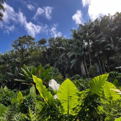 ccollinrr's profile picture. 