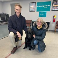 Jane McSwiggan (@mcswigganjane) 's Twitter Profile Photo