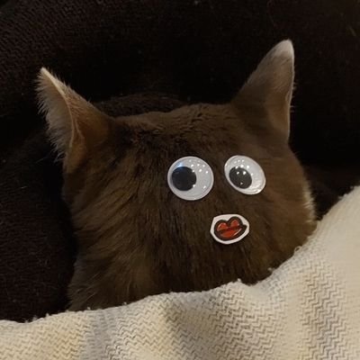 tony16117's profile picture. 相互フォロー🙆‍♀️PS5勢🎮ゲームで面白いと感じた事を呟く垢です🙌リアル志向のシミュレーションや、PvEなどの協力ゲーが特に好き🥰誰かのサポート出来た時、嬉しい😌