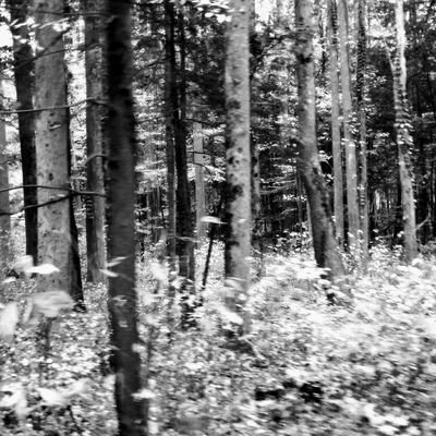 blissfinds's profile picture. Finding my bliss. An online happy place for me. Things I love and/or make me happy.