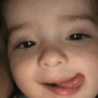 🤡 (@piggydogg) 's Twitter Profile