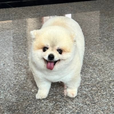Noname1018093's profile picture. 🤍💙🦊🐰🌻☁️