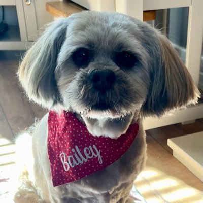 LOVE the LIFE you LIVE❤️ Holiday tweeter✈ 🇵🇹 🇪🇸 🇯🇪 ☀ 🐶 Grumpy Lhasa Apso Bailey (a little Bobby Dazzler) is the doggie tweeter🐶🐾 *Views are own*