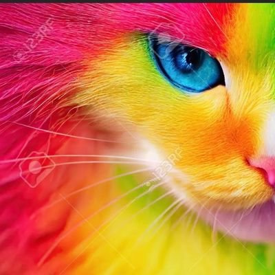 ×♪ Gracias a los músicos del Rock, el mundo me suena mejor.♪× Twitter me da más confianza que muchos medios de comunicación