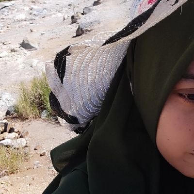 Tonggoriko's profile picture. 