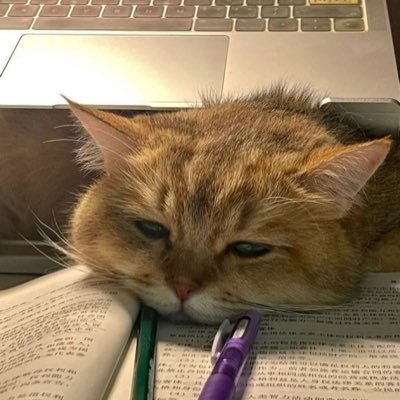 the.lazyreaderさんのプロフィール画像