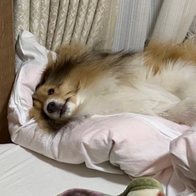 rytszky's profile picture. QAE / CE