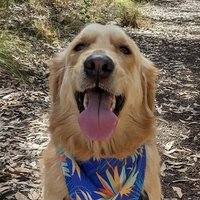 Panko is dreaming about the beach (@sayhellopanko) 's Twitter Profile