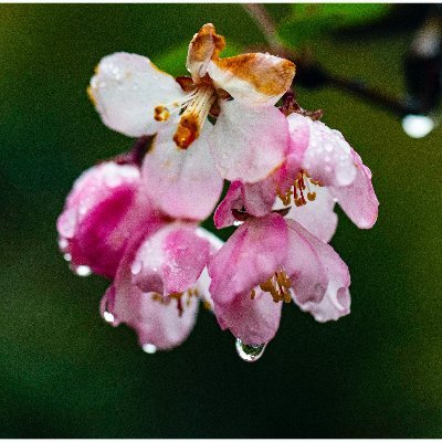 dingdingdang22's profile picture. 佛系青年，有话才说。（互fo必回）