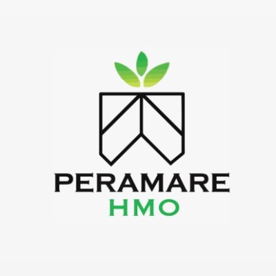 Peramare_HMO Profile Picture