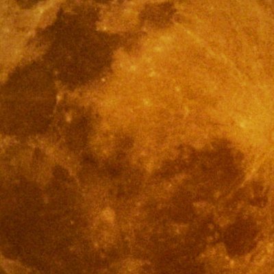 𝙵𝚊𝚕𝚕𝚎𝚗🌙 𝙼𝚘𝚘𝚗🔞さんのプロフィール画像