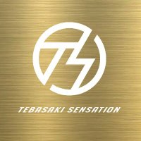 手羽先センセーション(@tebasen_info) 's Twitter Profile Photo