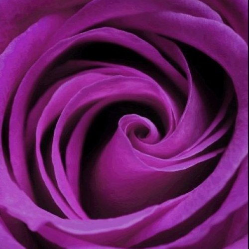 RMJ_99's profile picture. باحث قانوني أول