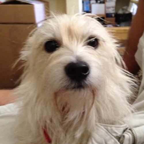 phinn5's profile picture. 