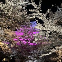 先頭の景色は譲る (@aizu_univ_m) Twitter profile photo