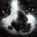 Schrodinger's Squid☥ #GetThe'L'out ! (@schrodingerssqu) Twitter profile photo Schrodinger's Squid☥ #GetThe'L'out ! (@schrodingerssqu) Twitter profile photo