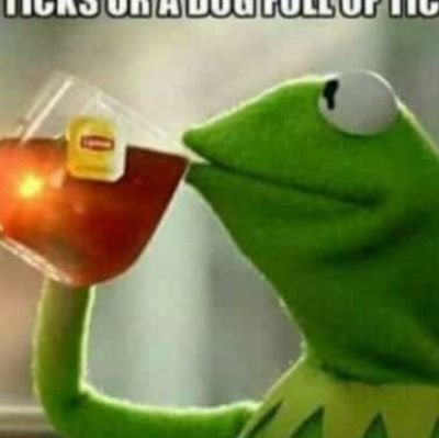 trudat242's profile picture. 