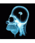 Ismael El-Qudsi (@elqudsi) Twitter profile photo