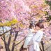 おりやん 新小1×28wママ (@oriyan_room) Twitter profile photo おりやん 新小1×28wママ (@oriyan_room) Twitter profile photo