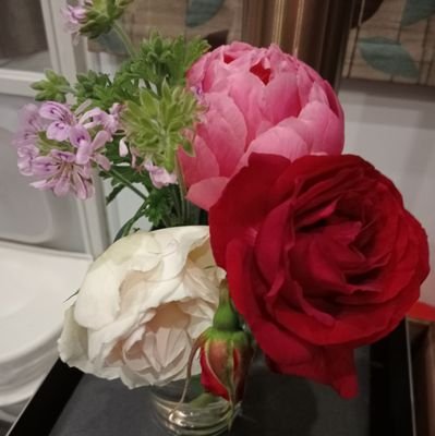 JayLiveMoments's profile picture. Life is living moments. It seems this has been forgotten as fear overcame the world. I'd rather live a shorter life connecting with people than in fear & apart.