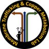 CopperBioGroup's profile picture. Main focus: Trafficking regulation of Cu transporters