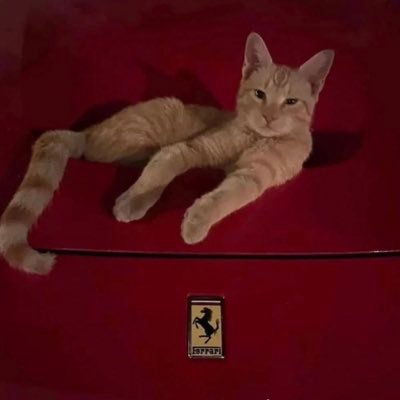 easymoneys7's profile picture. boiaintnoway