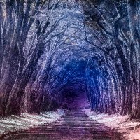 Susan Bailey (@suejay_bailey) 's Twitter Profile