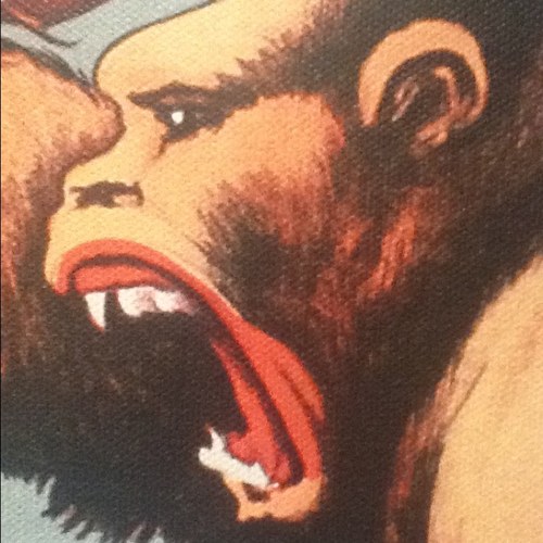 DamienCopas's profile picture. 